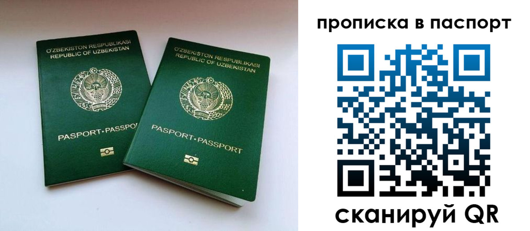 временная регистрация в Дмитрове